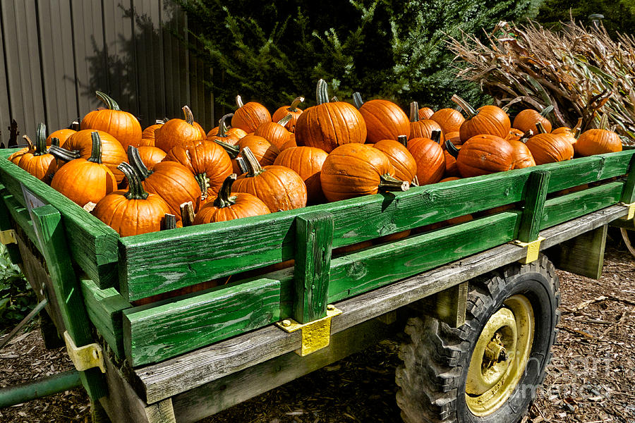 The Pumpkin Cart Photograph by Mark Miller