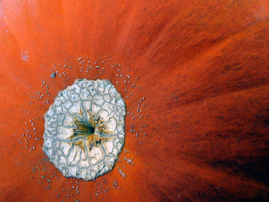 The Pumpkin Galaxy Photograph by Dorin Adrian Berbier