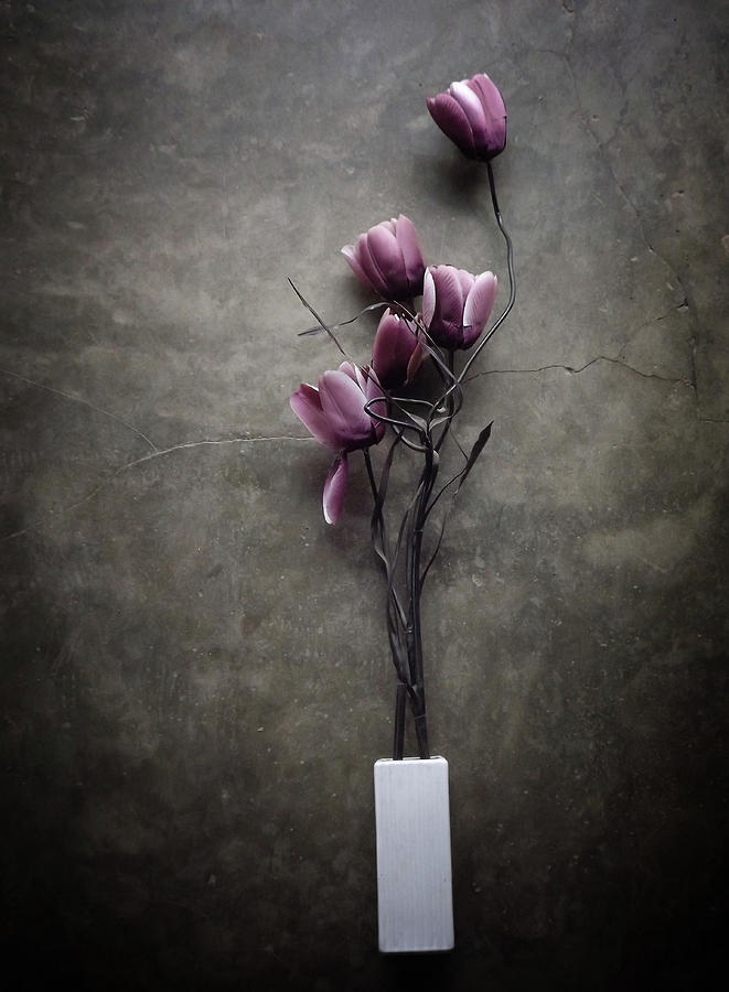 Flower Photograph - The Purple Tulip by Kahar Lagaa
