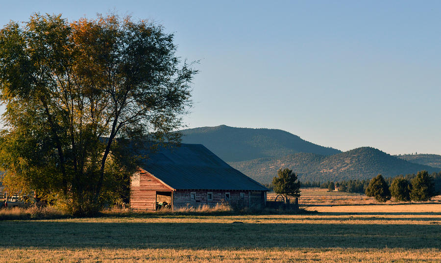 The Quiet Farm Photograph by Brian Orion