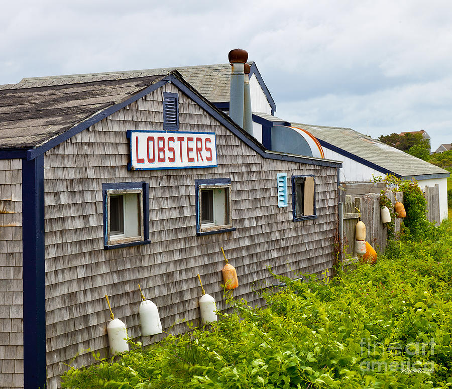 The Quintessential Lobster Experience Photograph by Michelle Constantine