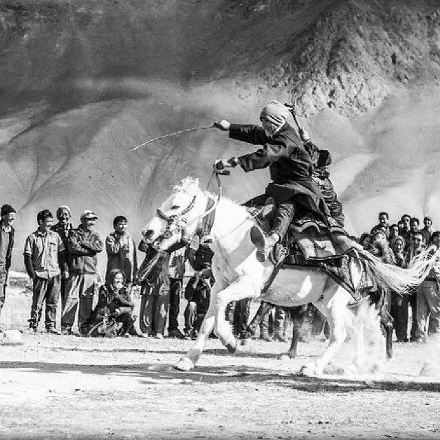 Horse Photograph - The Race Begins... India by Aleck Cartwright