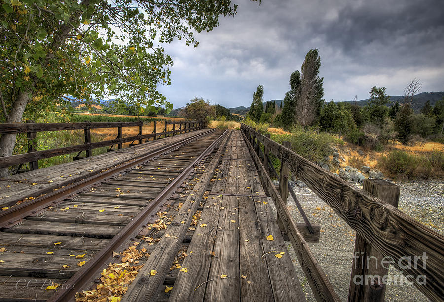 The Railroad Bridge Digital Art by Christopher Cutter