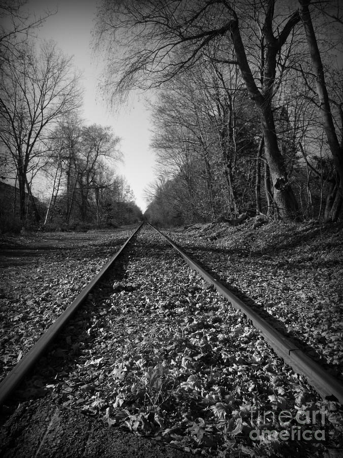The Rails Photograph by Barbara Bardzik