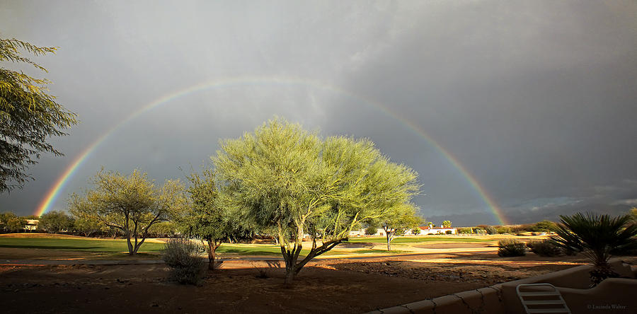 The Rain And The Rainbow Photograph