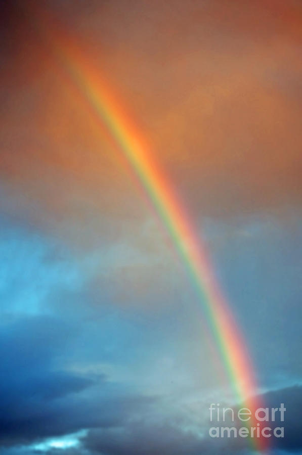 The Rainbow Photograph by Gwyn Newcombe