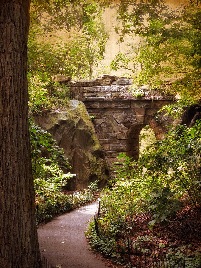 The Ramble Arch Photograph by Jessica Jenney