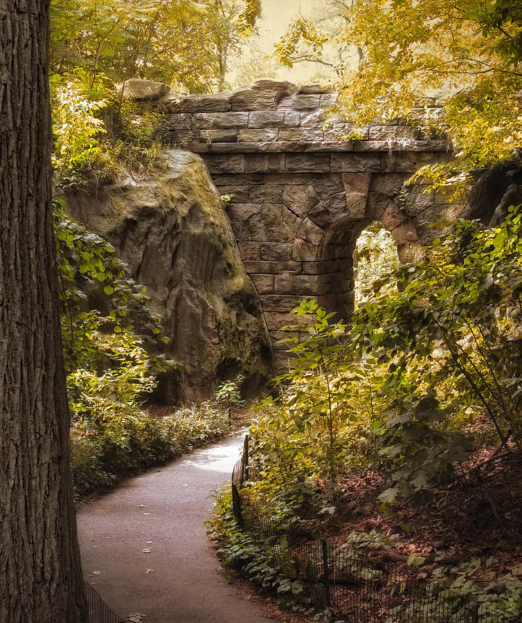 The Ramble Stone Arch Photograph by Jessica Jenney