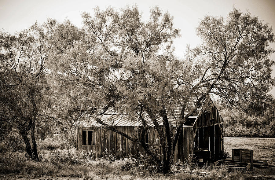 Landscape Photograph - The Ranch  by Amber Kresge