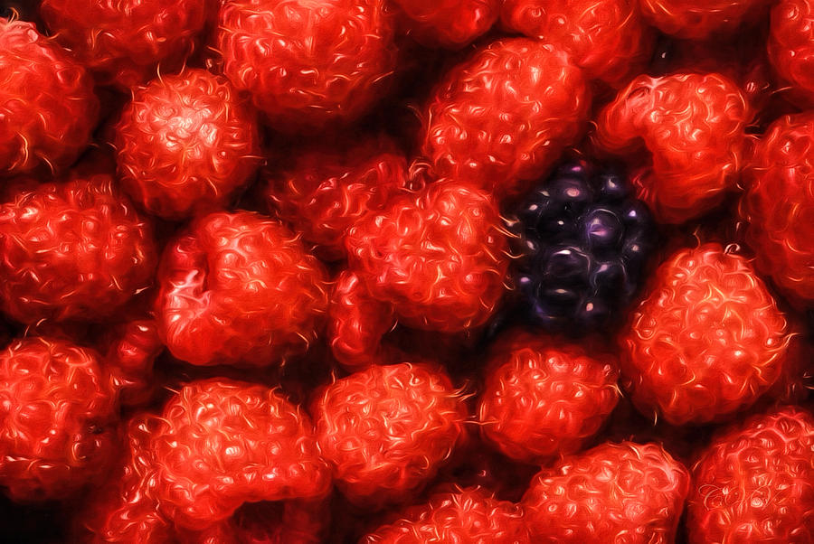 The Raspberries Photograph by Clare VanderVeen