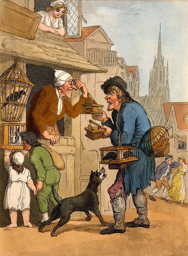 Bird Drawing - The Rat Trap Seller From Cries by Thomas Rowlandson