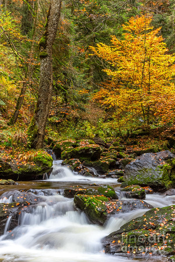 Cascades and Waterfalls #8 Photograph by Bernd Laeschke