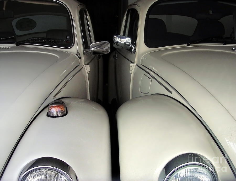 The Real Love Bugs Photograph by Carlos Alkmin