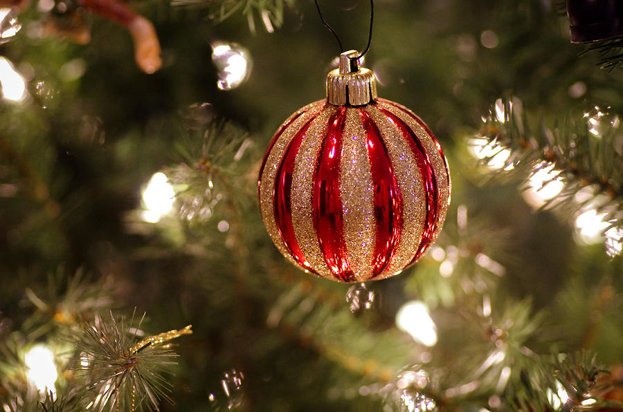 The Red and Gold Ornament Photograph by Will Wagner