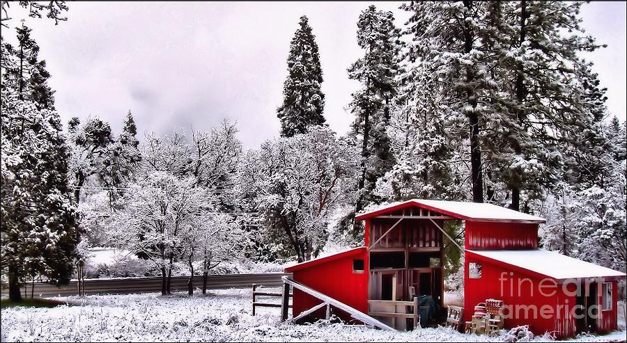 The Red Barn Photograph by Julia Hassett