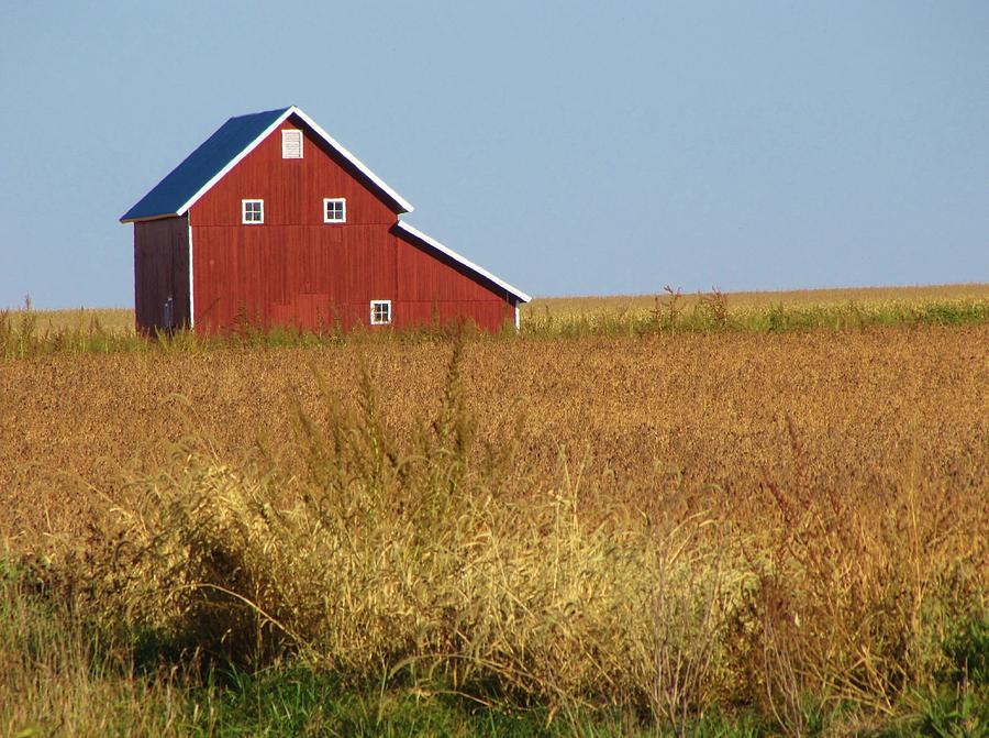 The Red Barn Photograph by Lori Frisch
