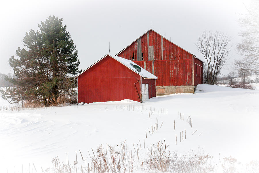 The red Barn Photograph by Nick Mares