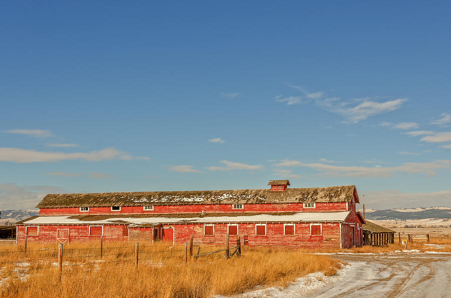 The Red Barn Photograph by Sue Smith