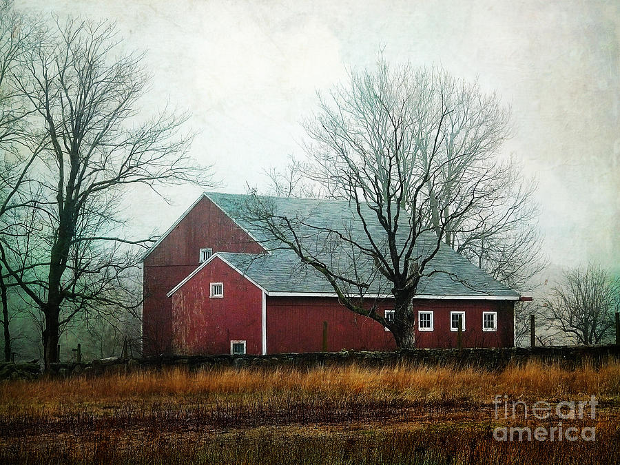 The Red barn Photograph by Sylvia Cook