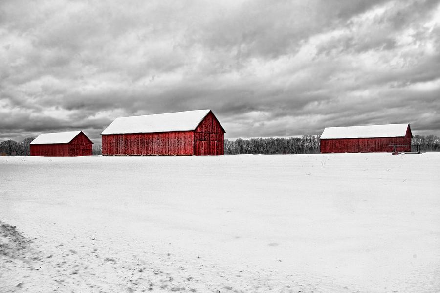 The Red Barns Of Tyron Photograph by Andrea Galiffi