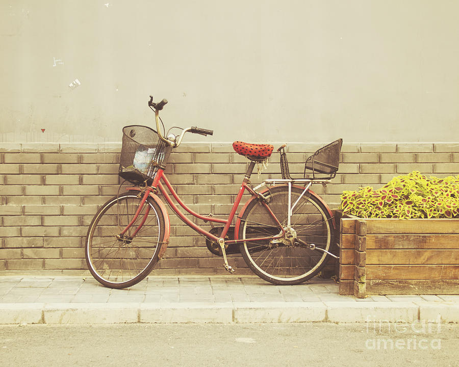 The Red Bicycle Photograph by Jillian Audrey Photography