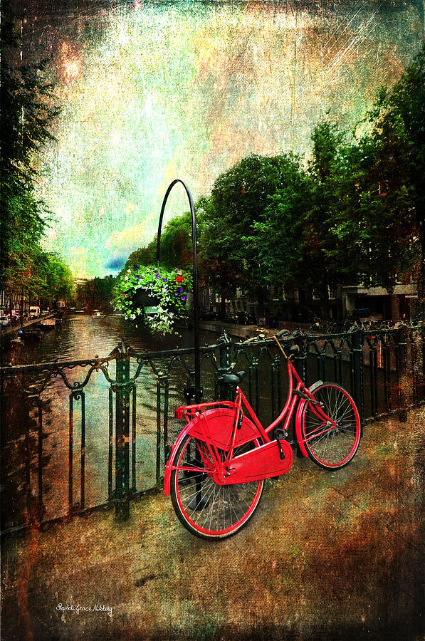 The Red Bicycle Photograph by Randi Grace Nilsberg