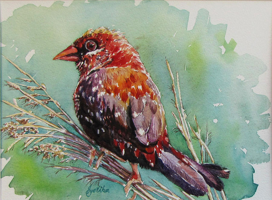 The Red Bird Painting by Jyotika Shroff