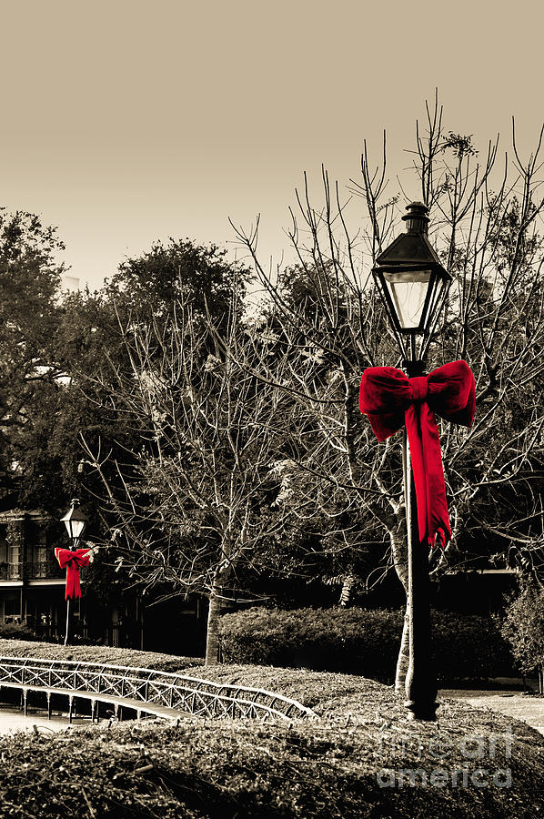 The Red Bows Photograph by Frances Ann Hattier