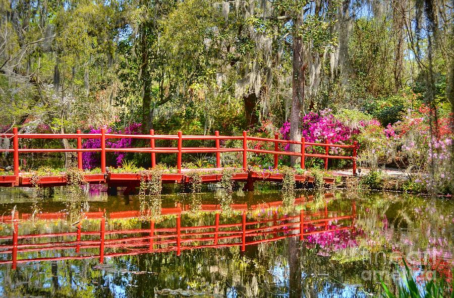 The Red Bridge At Magnolia Plantation Photograph by Kathy Baccari
