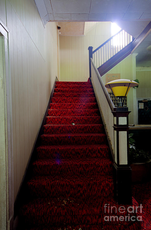 The Red Carpet Photograph by Rick Kuperberg Sr