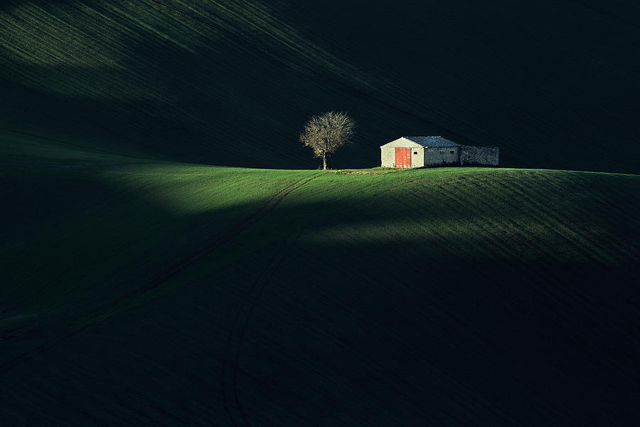 Farm Photograph - The Red Door by Fiorenzo Carozzi