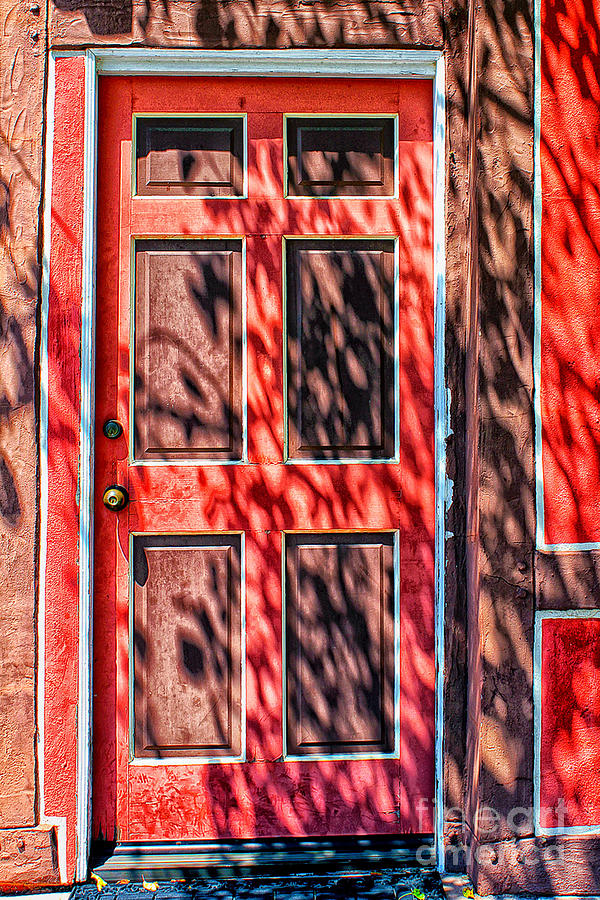 The Red Door Photograph by Stefan H Unger