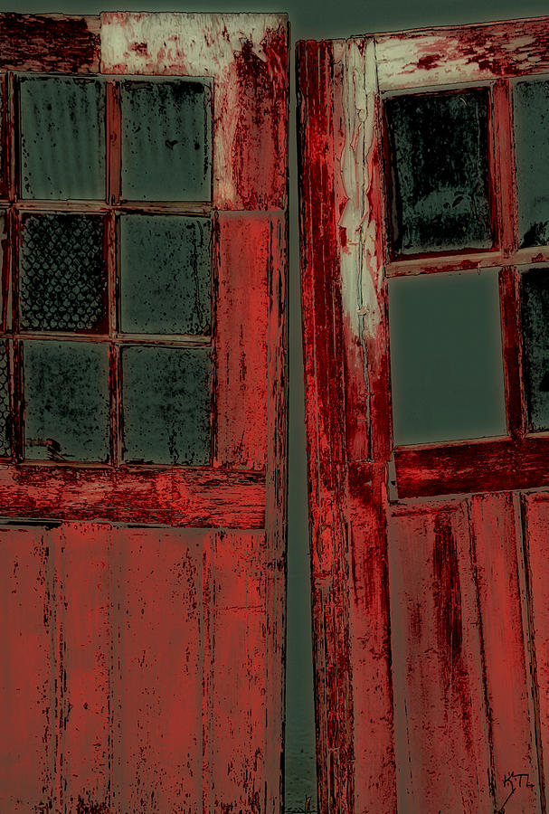 The Red Doors Photograph by Karol Livote