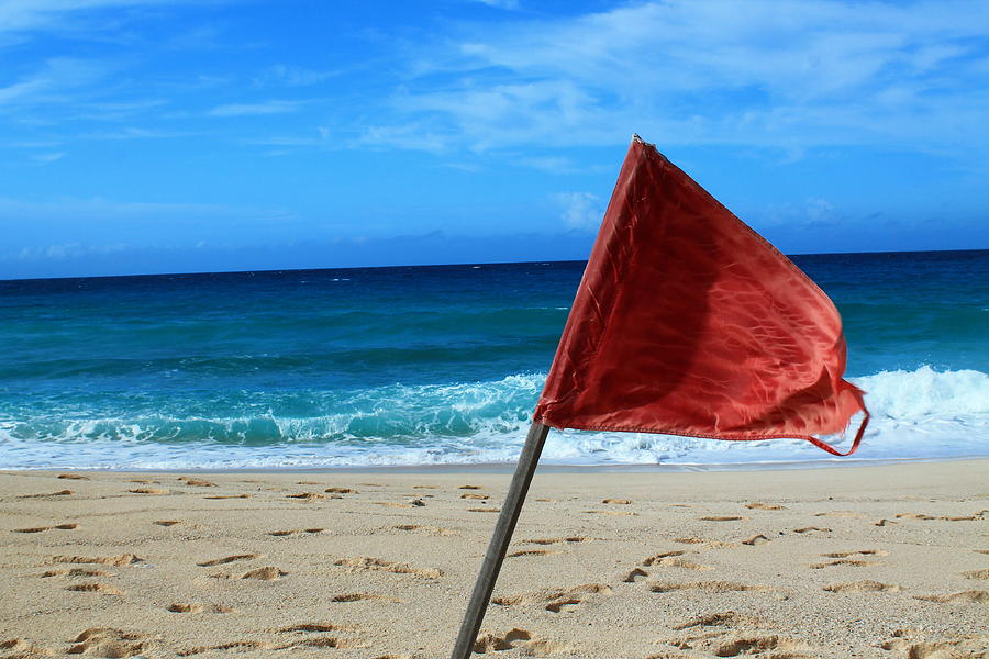 The Red Flag Photograph by Catie Canetti