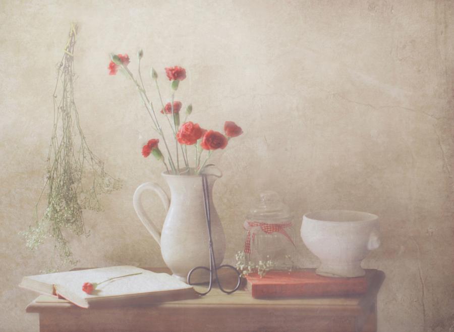 Still Life Photograph - The Red Flowers by Delphine Devos