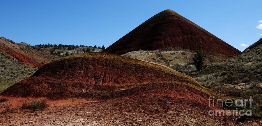 The Red Hill Oregon Photograph by Vivian Christopher