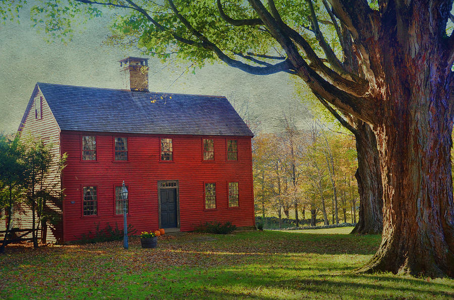 The Red House Photograph by Barbara Manis