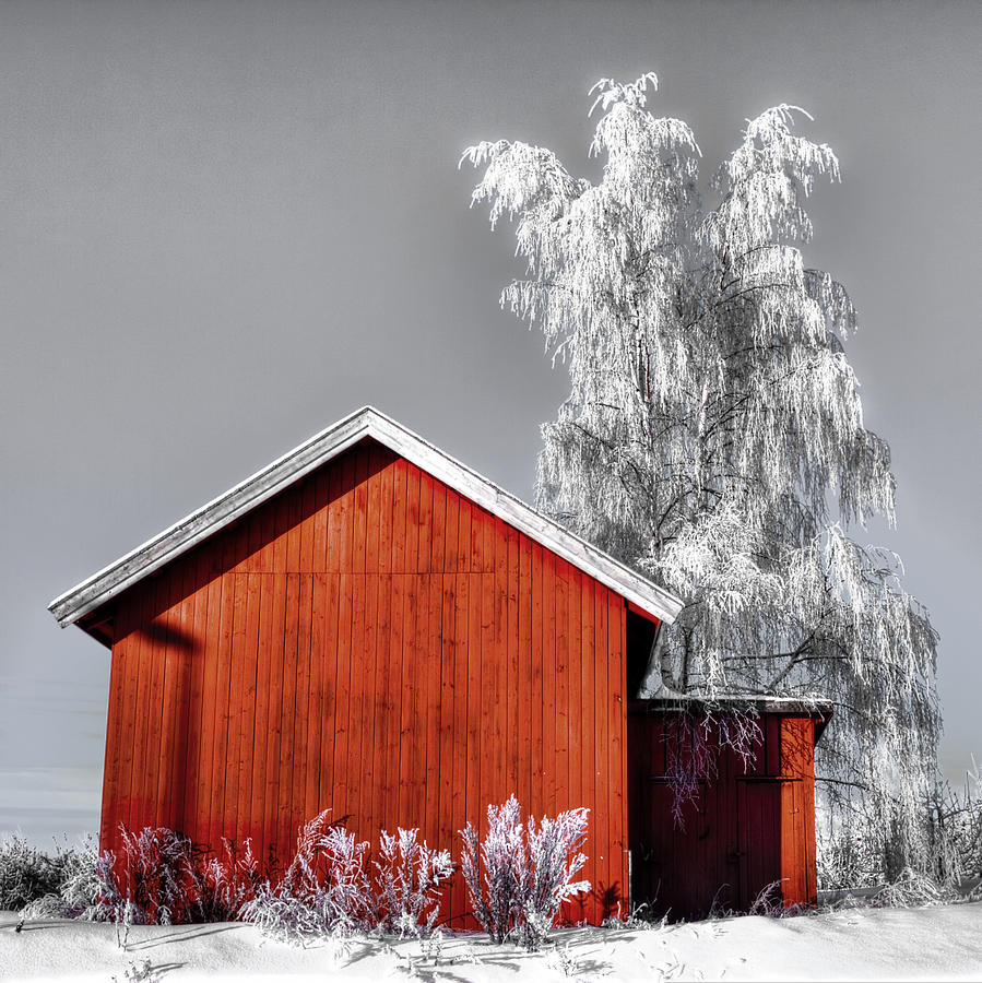 Winter Photograph - The red house by Thomas Berger