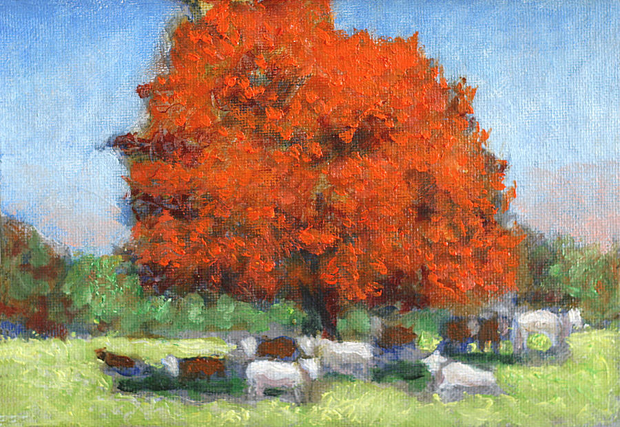 The Red Maple Large Painting by David Zimmerman