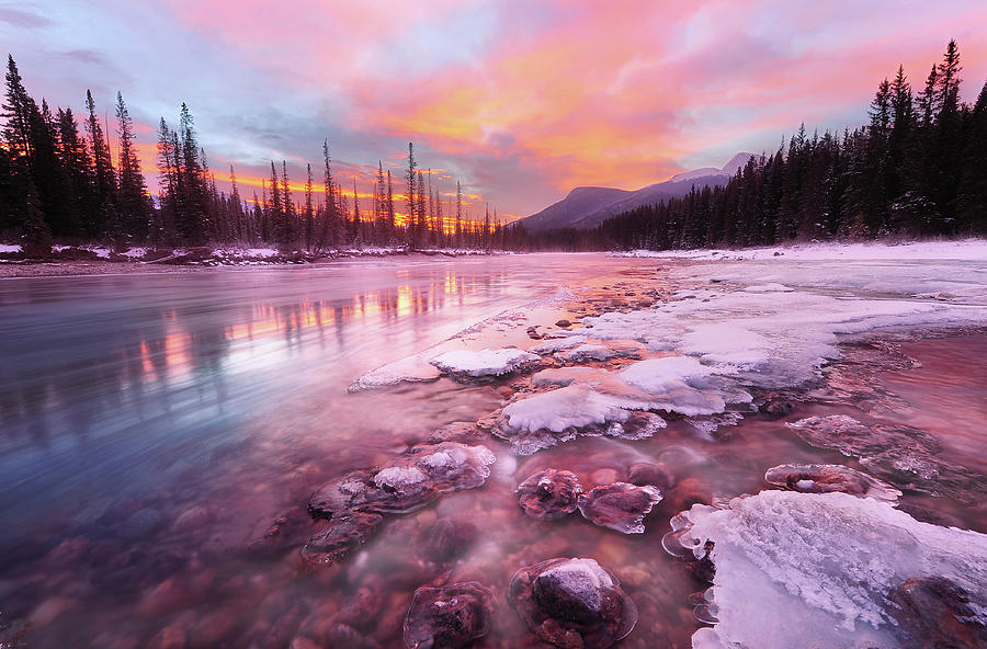 The Red Moment Photograph by Yu Liu Photography - Fine Art America