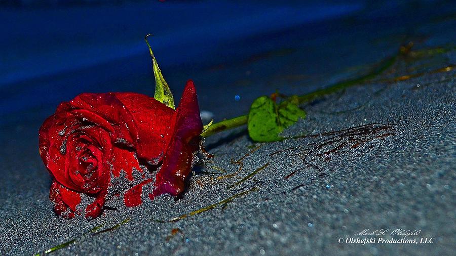 Flower Photograph - The Red Rejected Rose by Mark Olshefski