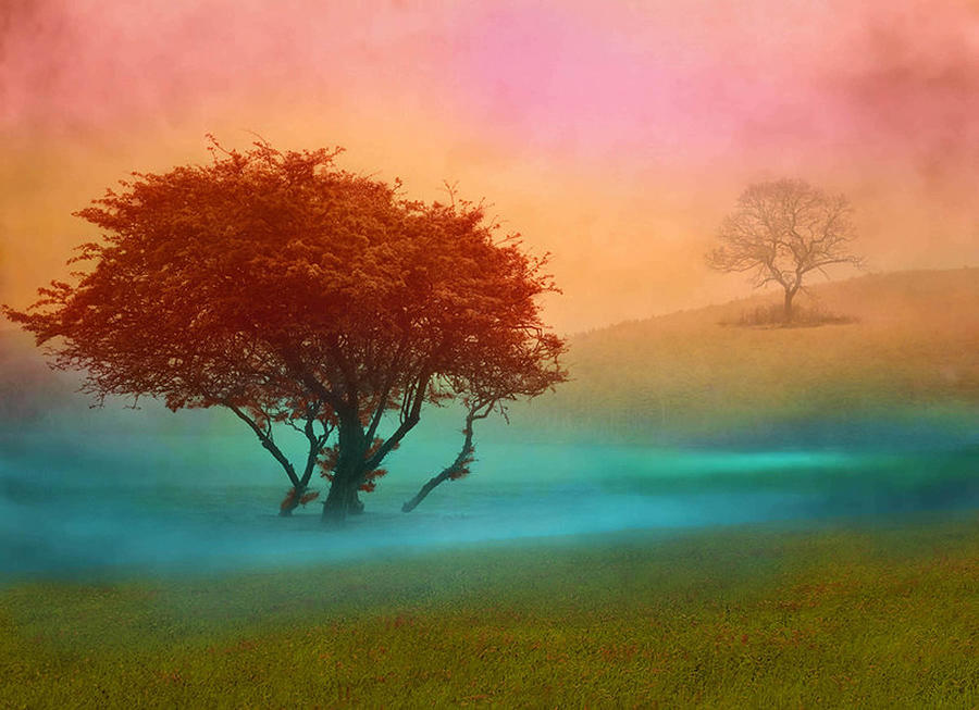 The Red Tree Digital Art by Nina Bradica