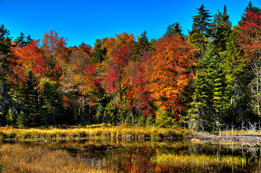 Fall Photograph - The Reflections of Autumn on Fly Pond by David Patterson