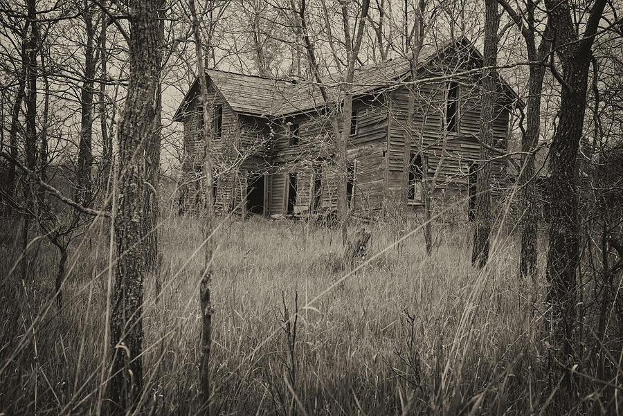 Tree Photograph - The House in the Woods by Mary Lee Dereske