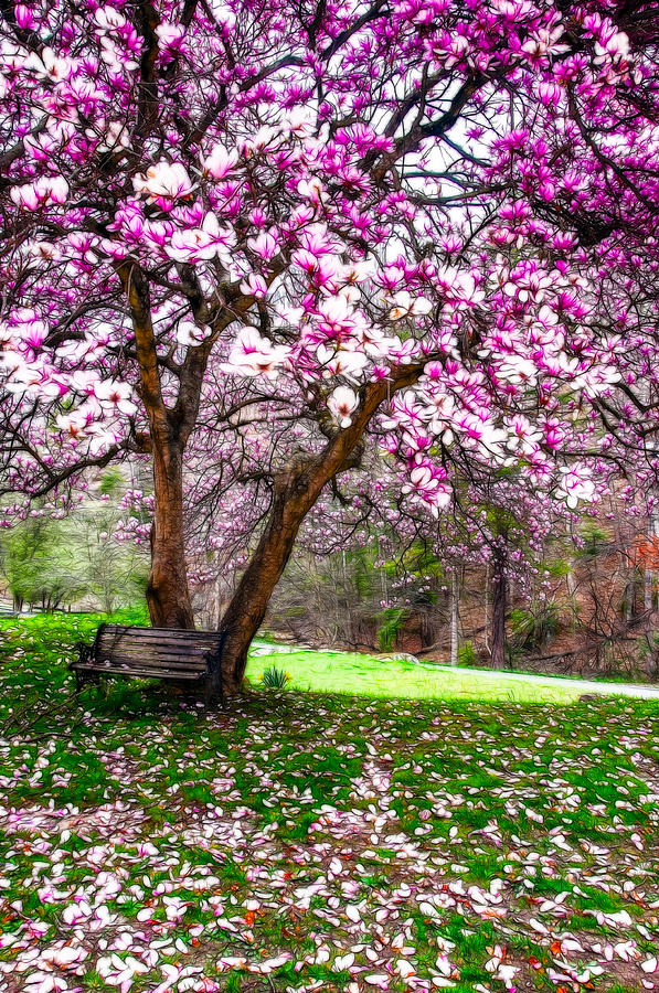 The Resting Place Photograph by Sherry Wyne - Pixels