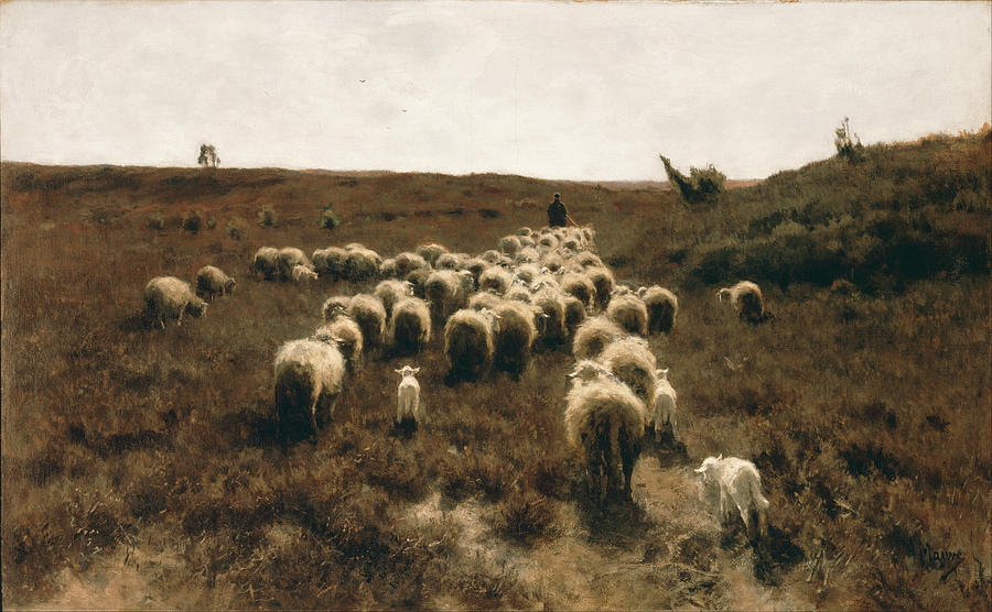 Anton Mauve Painting - The  Return of the Flock. Laren by Anton Mauve