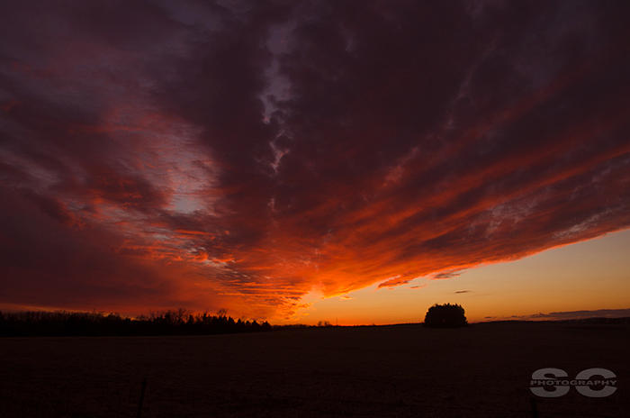 Sunset Photograph - The Return by Steven Coy