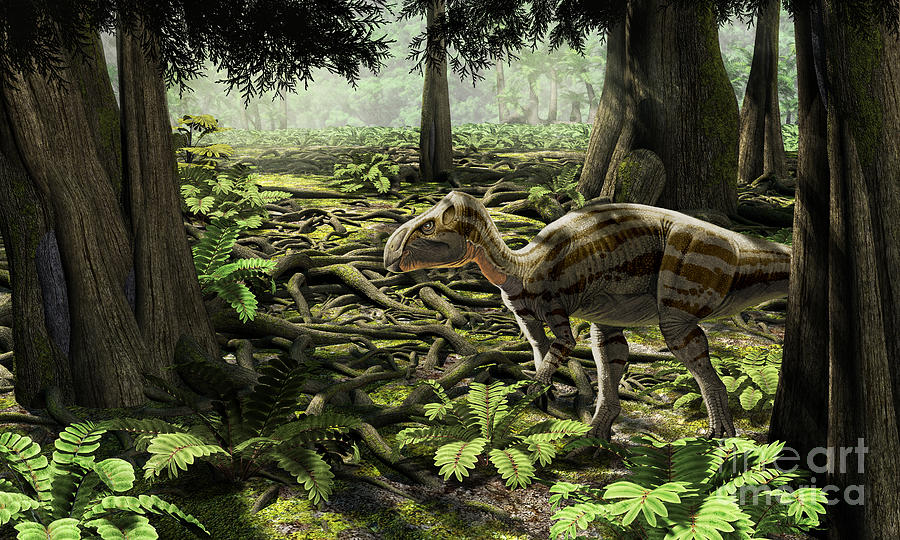Wildlife Digital Art - The Rhabdodontid Iguanodont Zalmoxes by Roman Garcia Mora