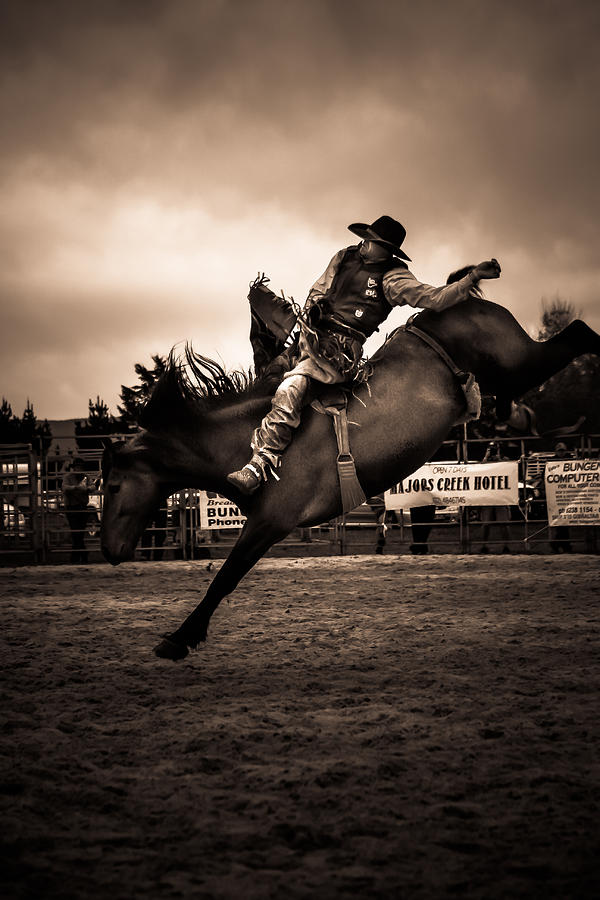 The Rider Photograph by Justine King - Fine Art America