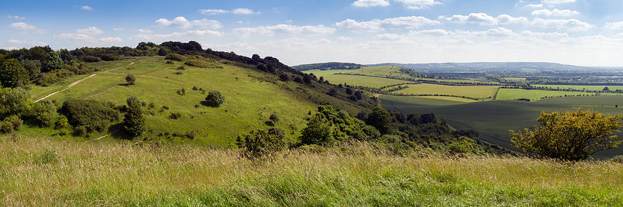 The Ridgeway in the Chilterns Photograph by Gary Eason